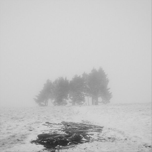 Cover art for The Fog