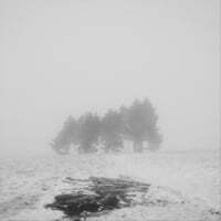The Fog