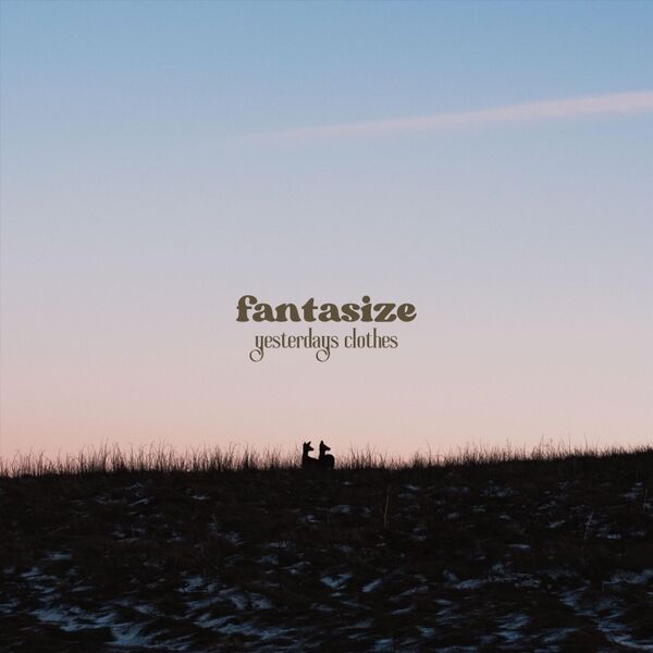 Cover art for Fantasize